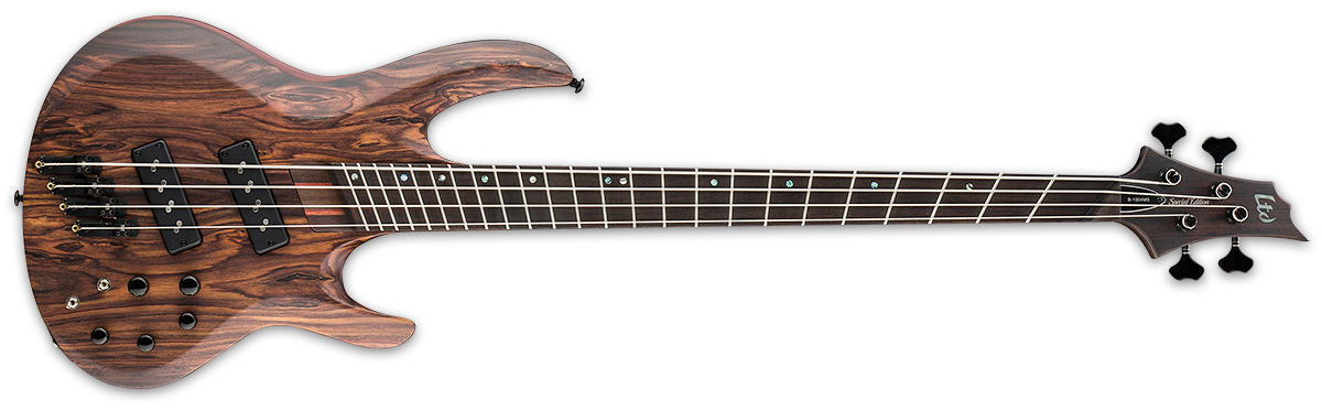 multiscale 4 string bass