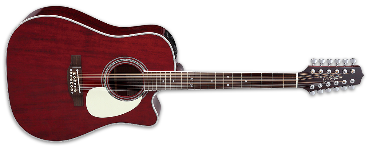 12 string takamine jj