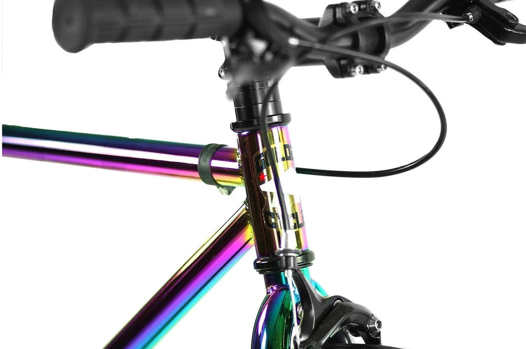 oil slick fixie frame