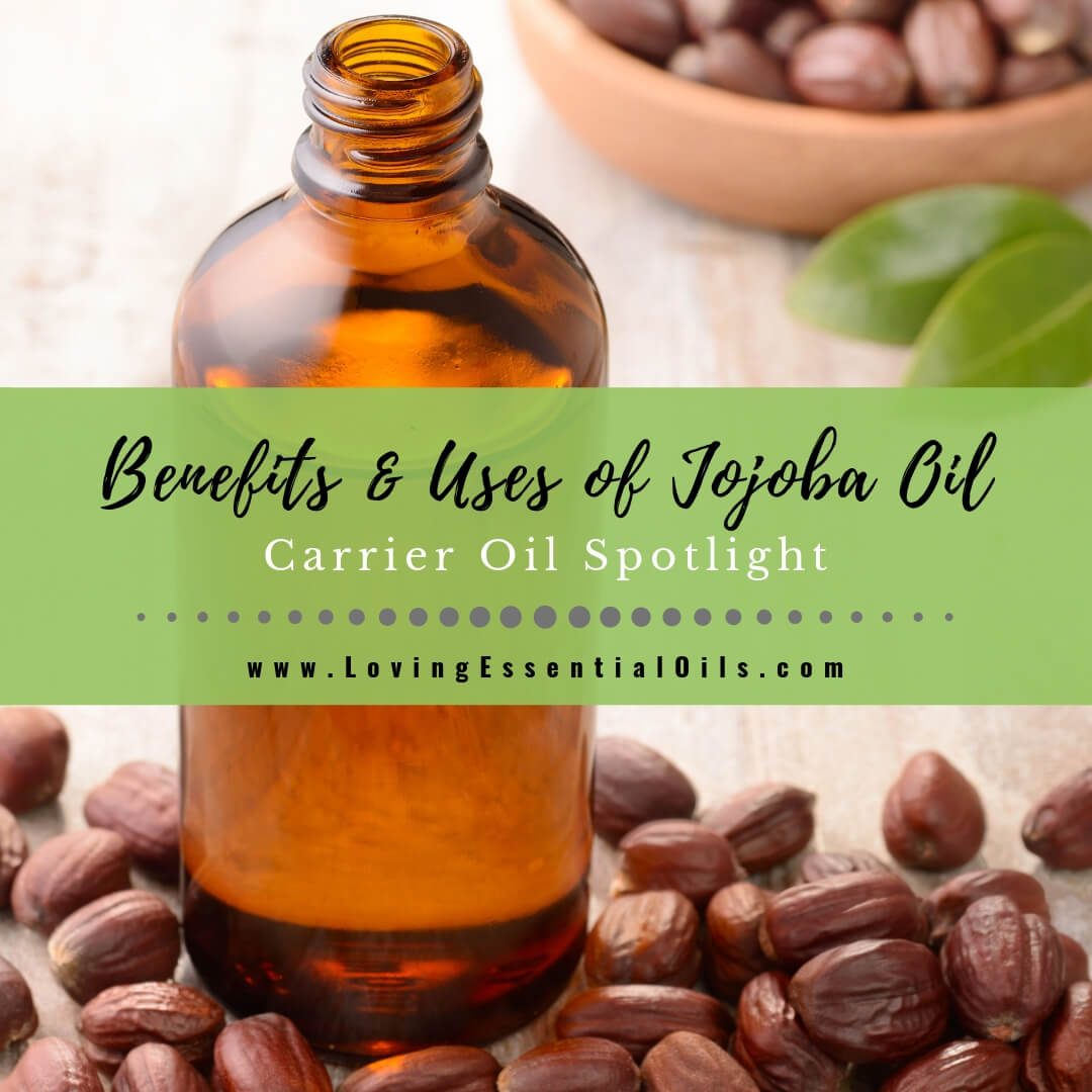 Jojoba Carrier Oil Benefits \u0026 Uses - A Quick Guide!