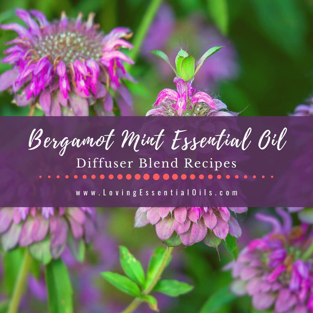 Bergamot Mint Diffuser - Essential Oil Benefits and