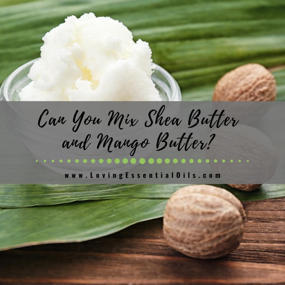 Can You Mix Shea Butter and Mango Butter?