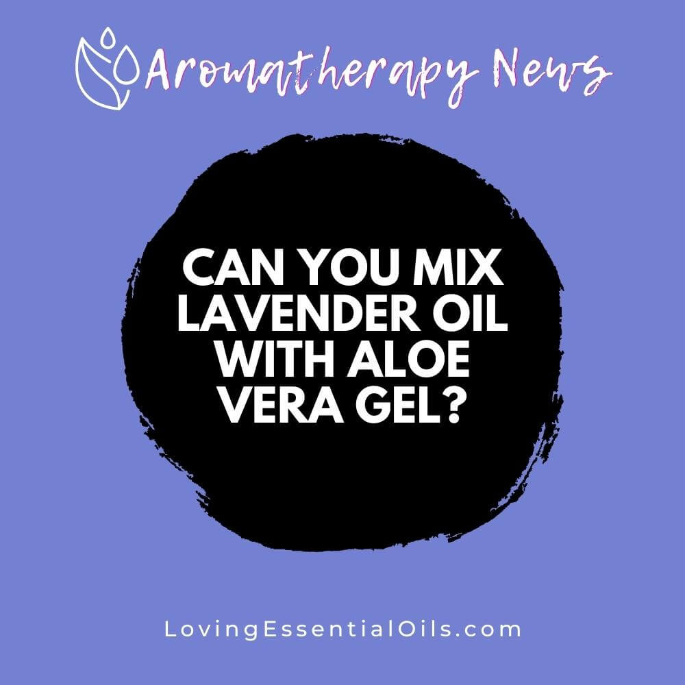 Can you Mix Lavender Oil with Aloe Vera Gel?