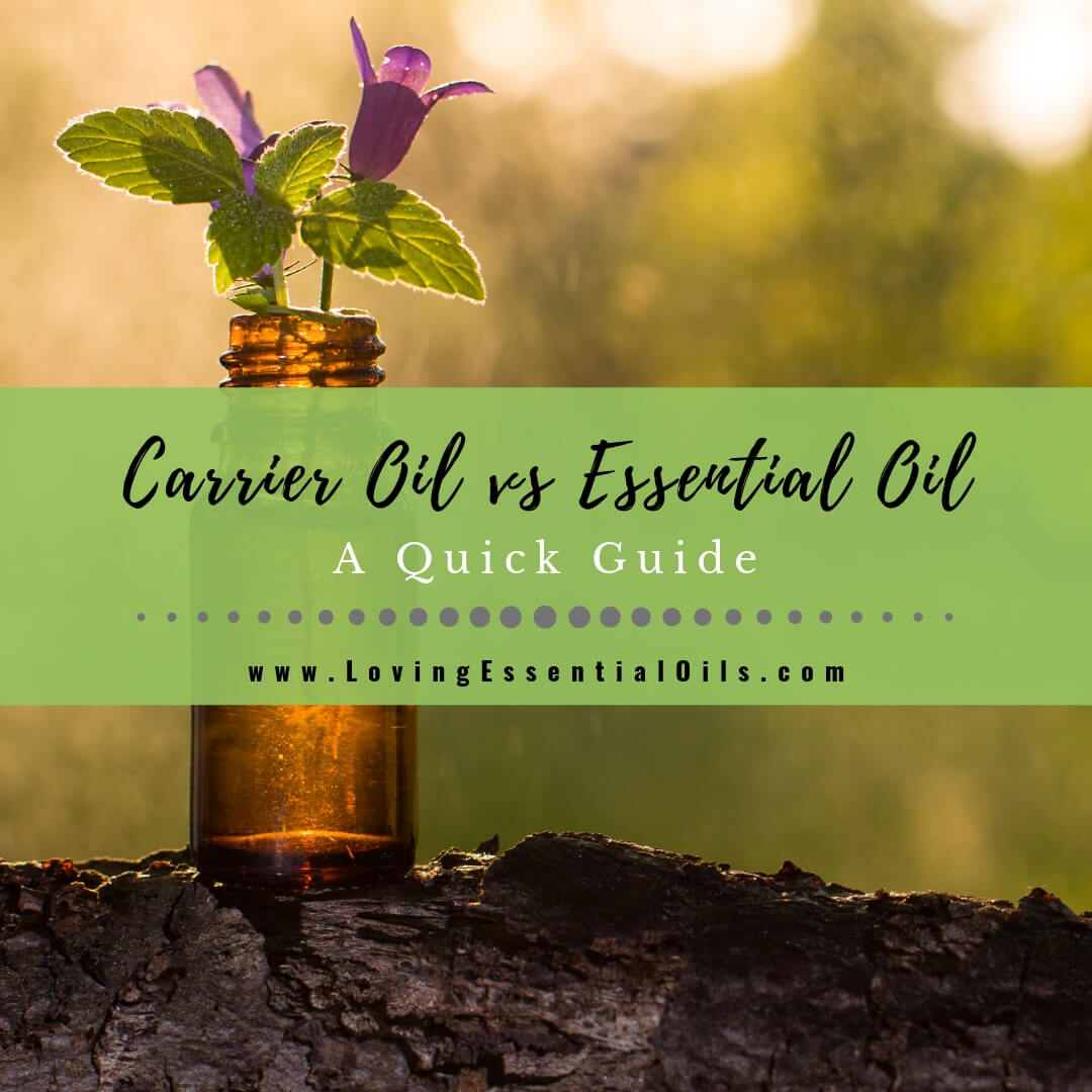 Carrier Oils For Beginners: Discover The Characteristics, beauty, and  health benefits of carrier oils for mixing Aromatherapy Essential Oils