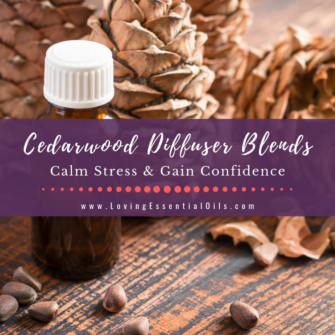 New Leather  Essential oil diffuser blends recipes, Essential oil blends  recipes, Essential oil combinations