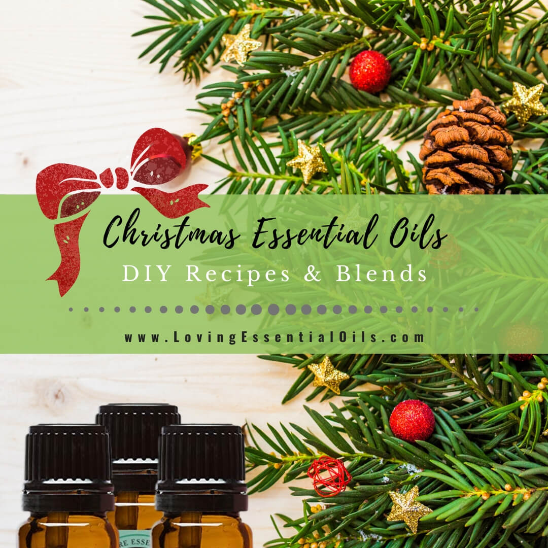 Christmas Essential Oils, Organic Fruity Blends for Diffusers Home Care