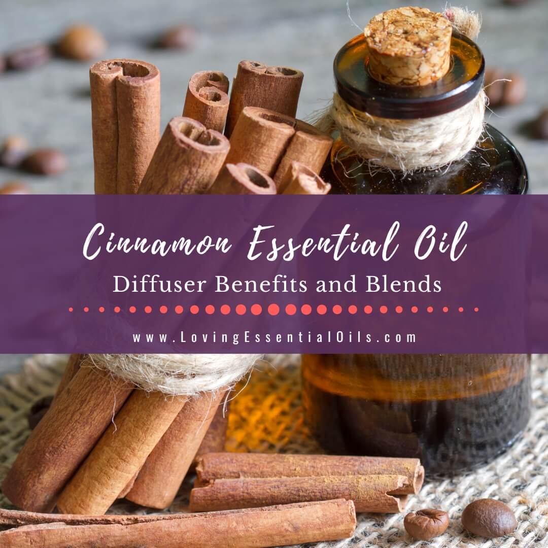 Cinnamon Essential Oil - Benefits & Usage