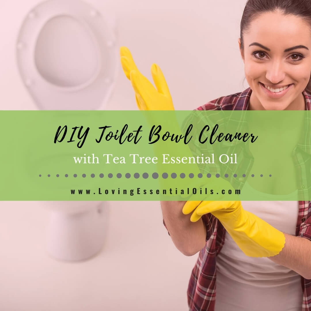 Homemade Toilet Bowl Cleaner Recipe with Tea Tree Essential Oil