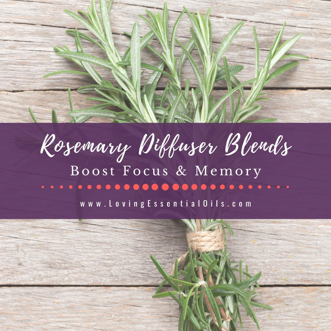 Rosemary Diffuser Blends - 10 Refreshing Essential Oil