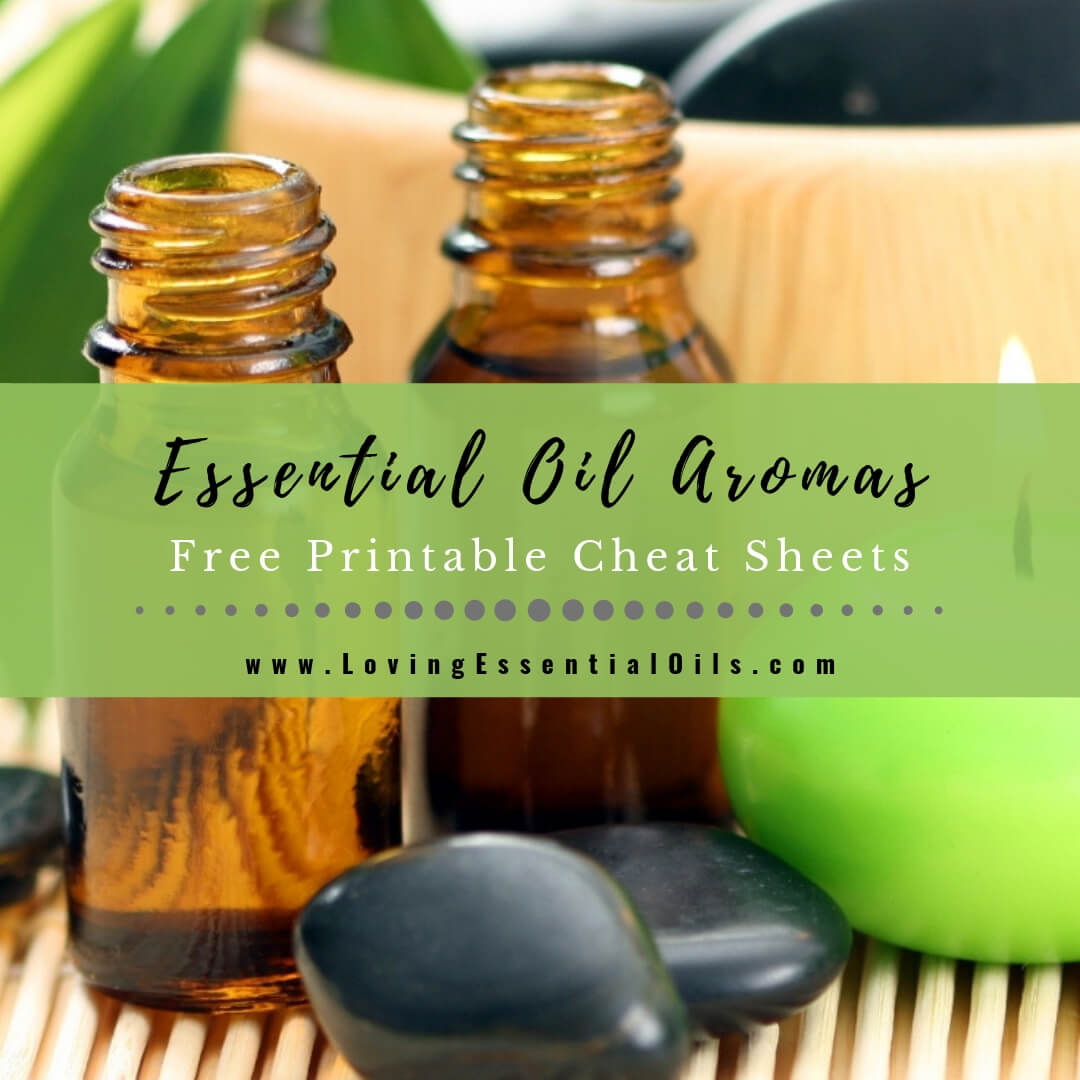 Essential Oil Shelf Life & Storage   – Aromatics  International