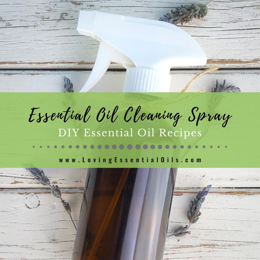 Mould Killer Essential Oil Spray Recipe
