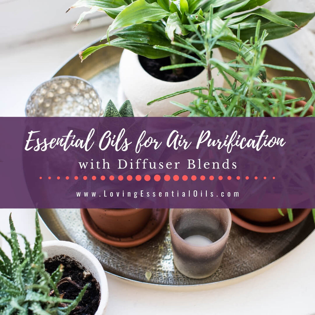 Essential Oils For Air Purification