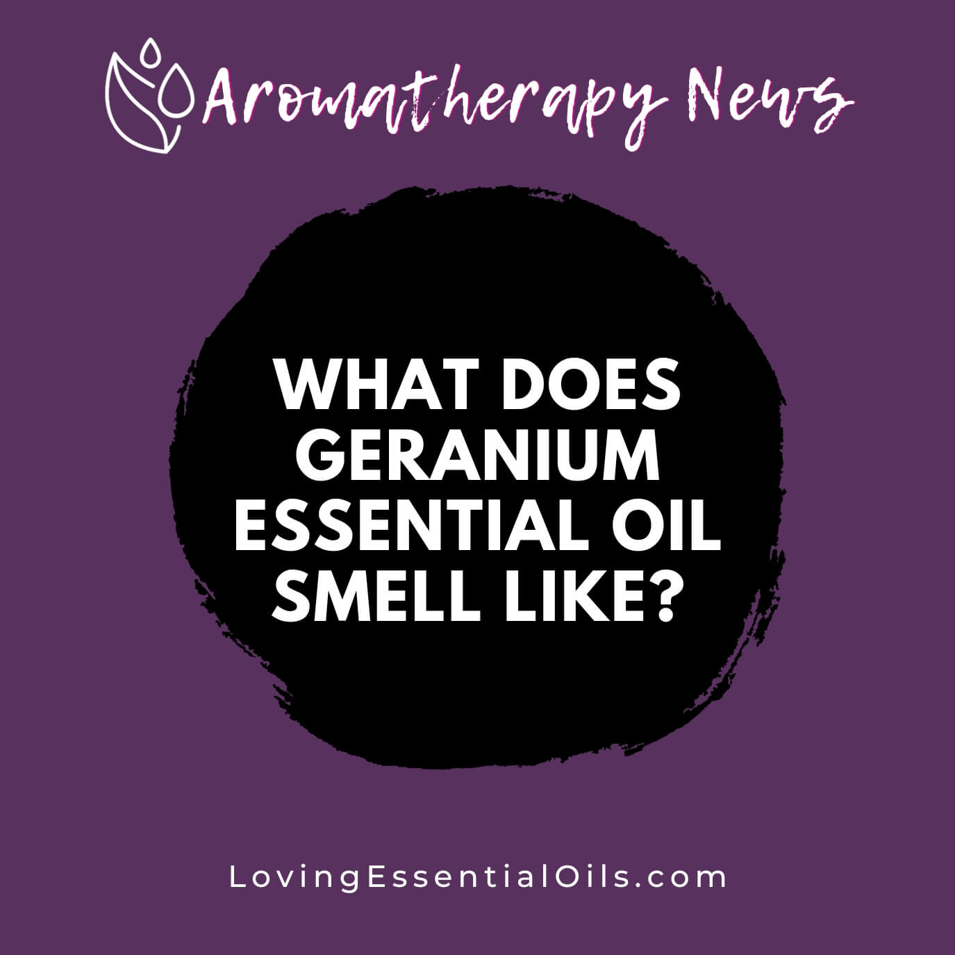 Geranium Oil: Here's Why This Essential Oil Is A Must-Have For