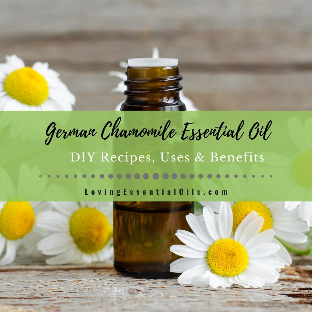 Ingredient spotlight: Chamomile essential oil