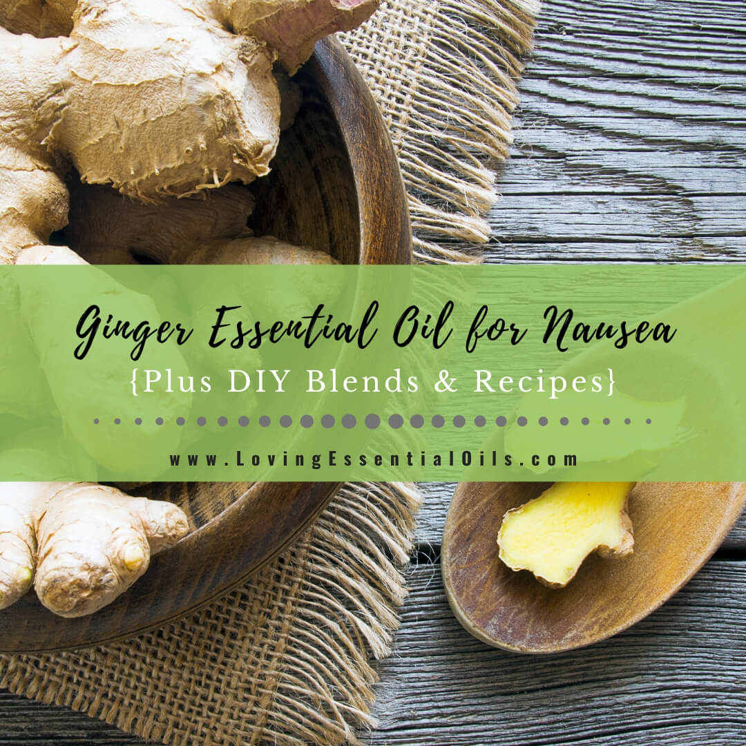Ginger Essential Oil for Nausea Plus DIY Blends & Recipes