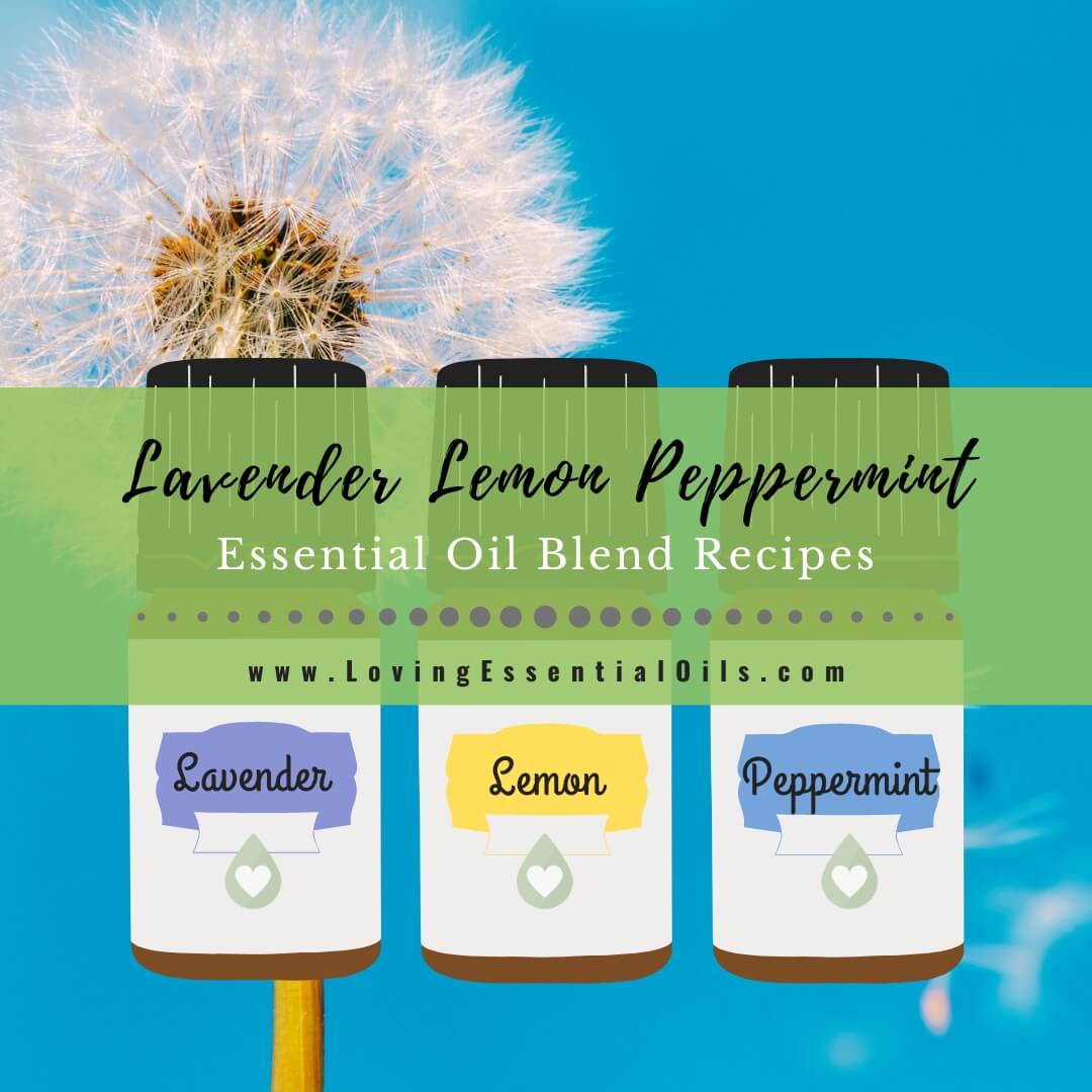 Lavender Lemon Essential Oil Blend (Lemon Lavender) Benefits, Uses