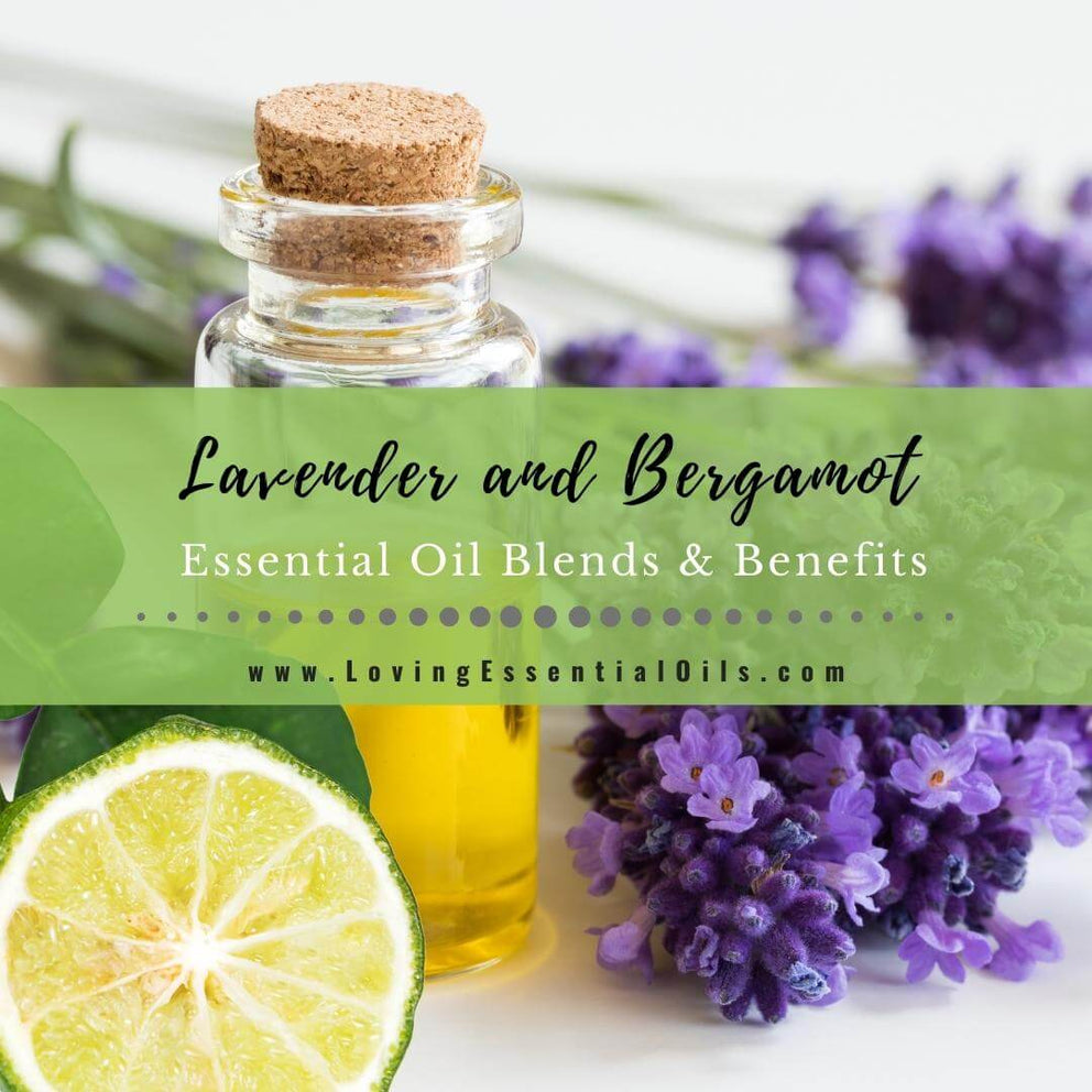 Lavender and Bergamot Benefits with Essential Oil Blend Recipes