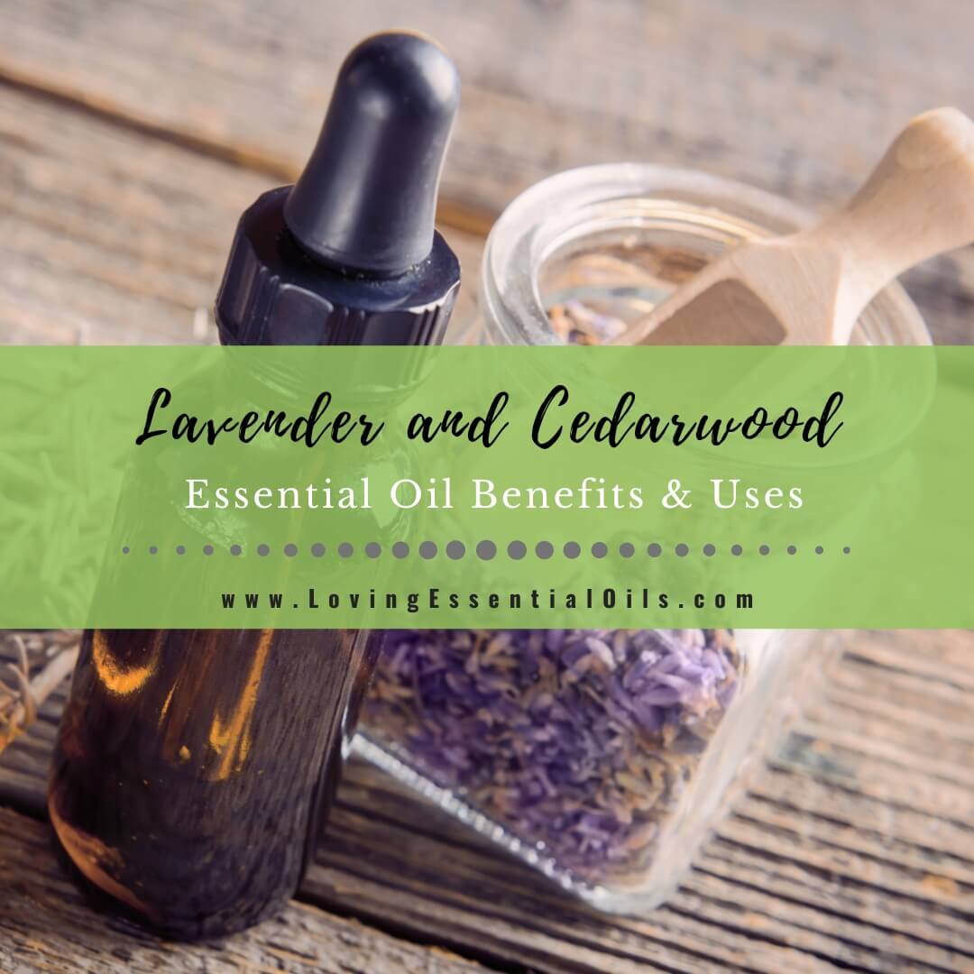 .com: Cedarwood (Large 4 ounce) Best Essential Oil: Health