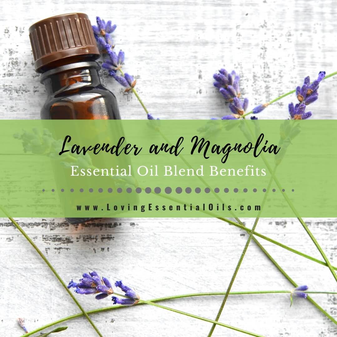 Lavender and Magnolia Essential Oil Blend Benefits