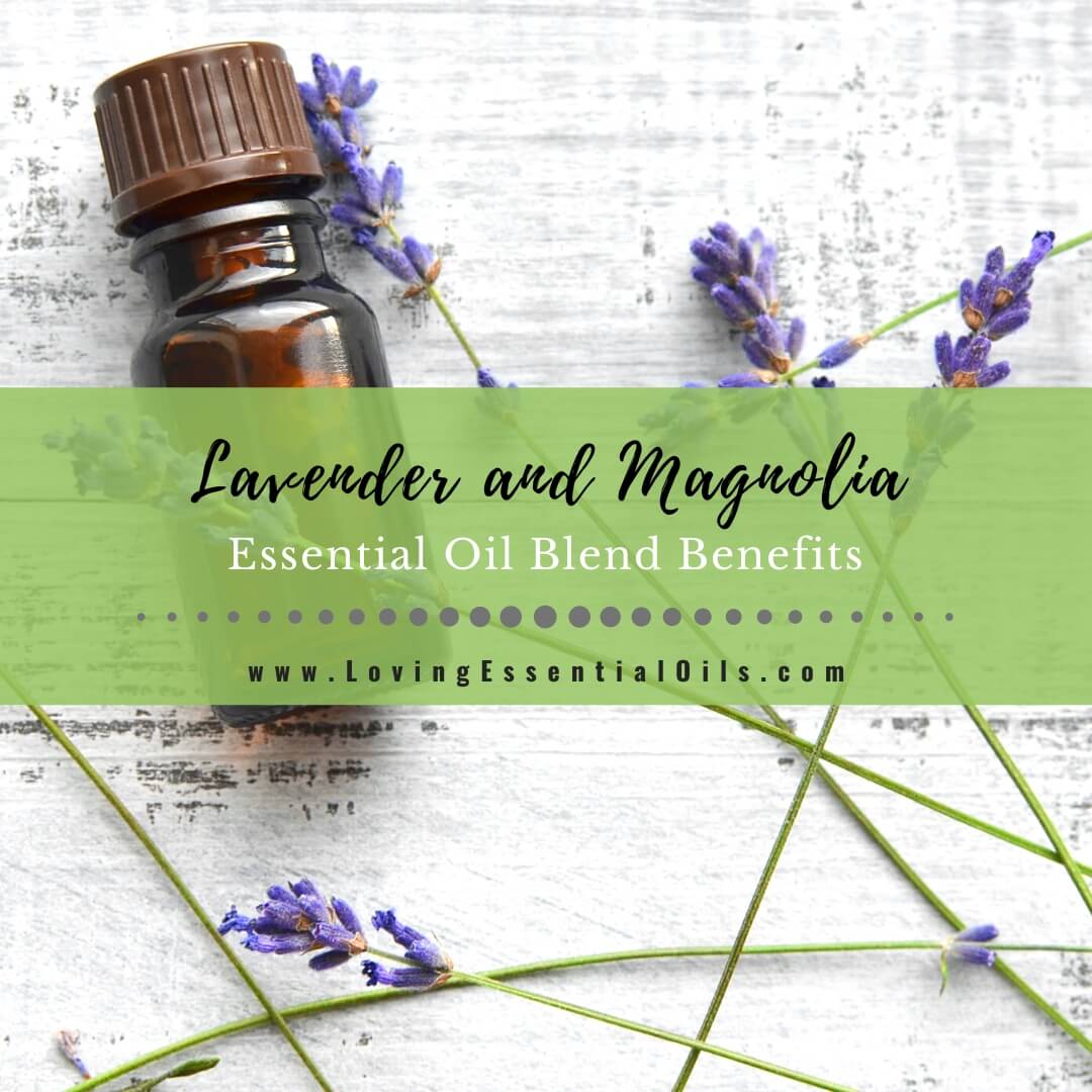 Lavender Magnolia Essential Oil Blend – jococups906.com