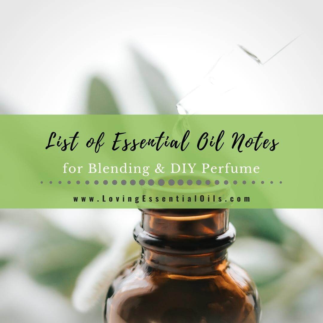 How to Blend Essential Oils Aromatically and Therapeutically  Essential oil  blends, Essential oil brands, Best essential oils