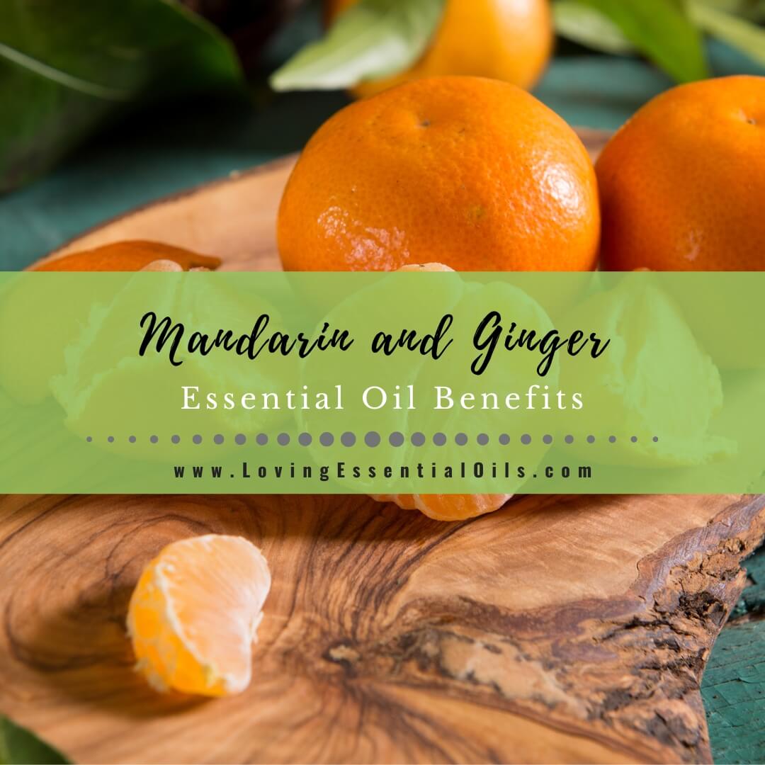 5 Mandarin and Ginger Essential Oil Benefits - Diffuser Blends