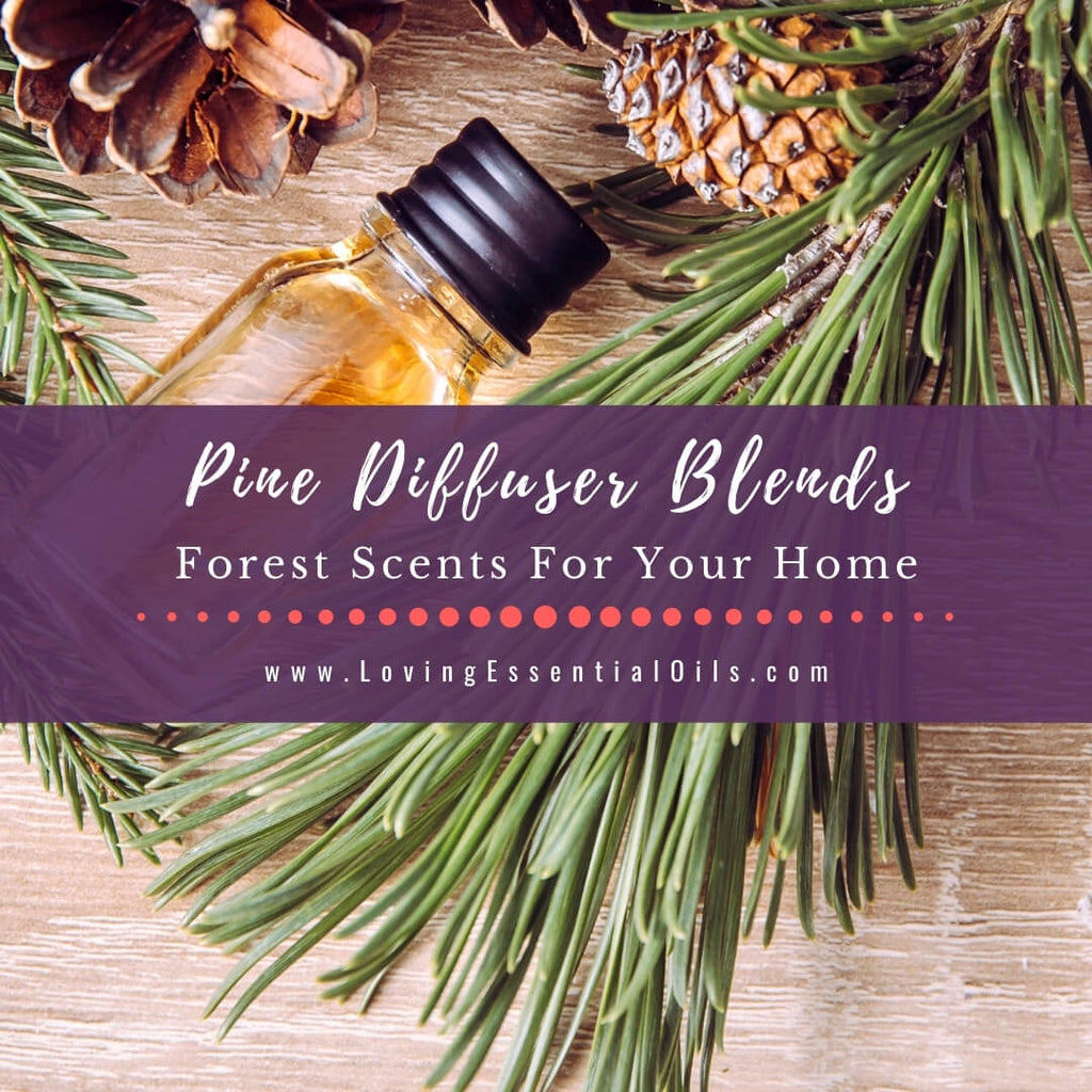 Pine Essential Oil - White Naturals