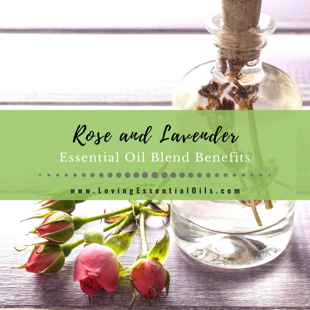 Rose and Lavender Essential Oil Blend Benefits & Recipes