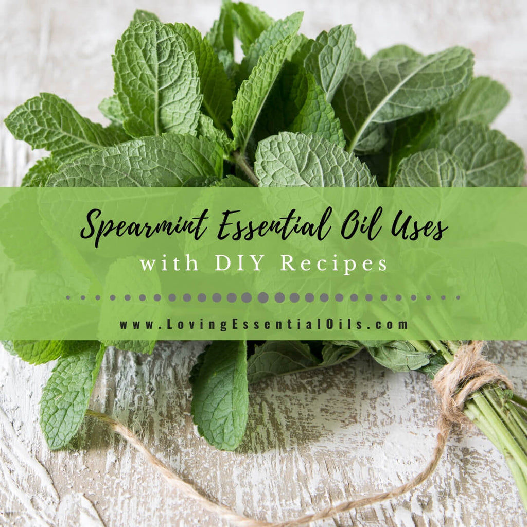 Spearmint Essential Oil Diffuser Kit