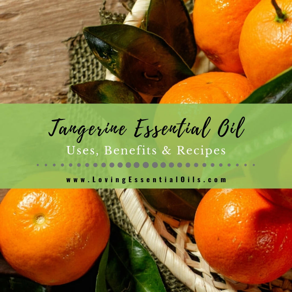 Uncover the secrets of Tangerine Essential Oil