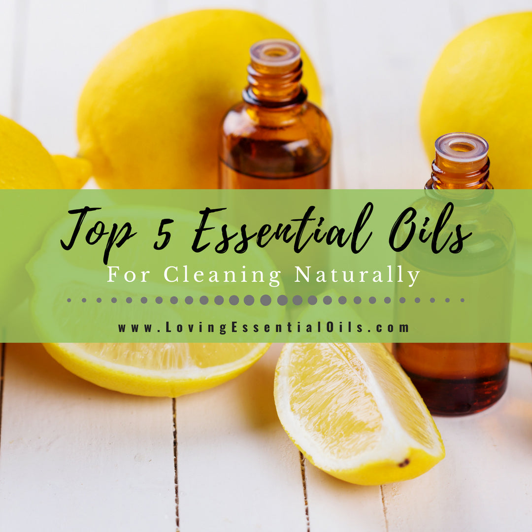 Citrus Essential Oil Sampler - 100% Pure Essential Oils of 6 High Quality  Citrus Species