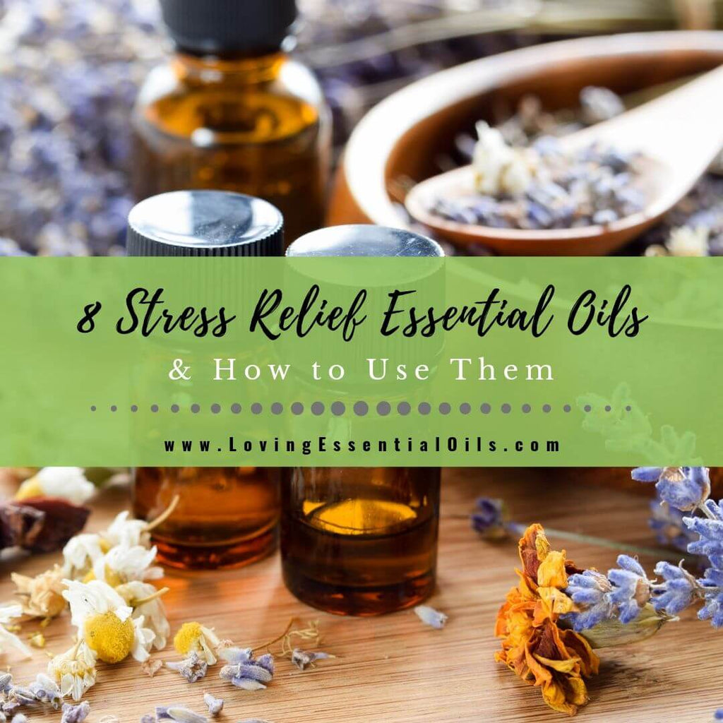 Find Serenity with Essential Oil Blends for Relaxation & Anxiety Relief