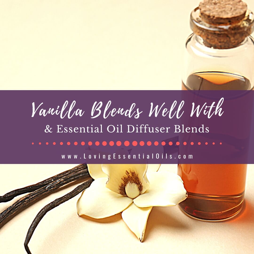 Vanilla Essential Oil (Complete Guide)
