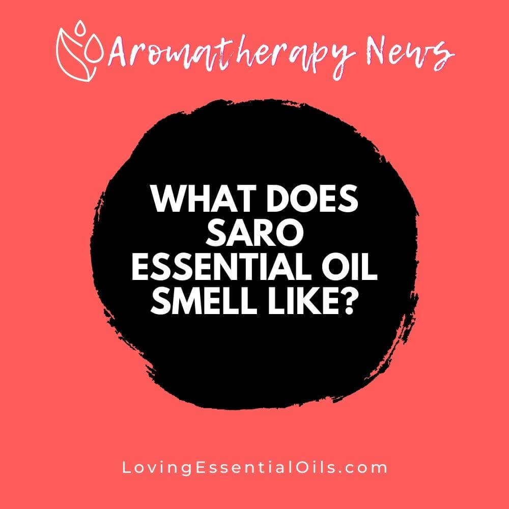 Saro Essential Oil - Aromatics International