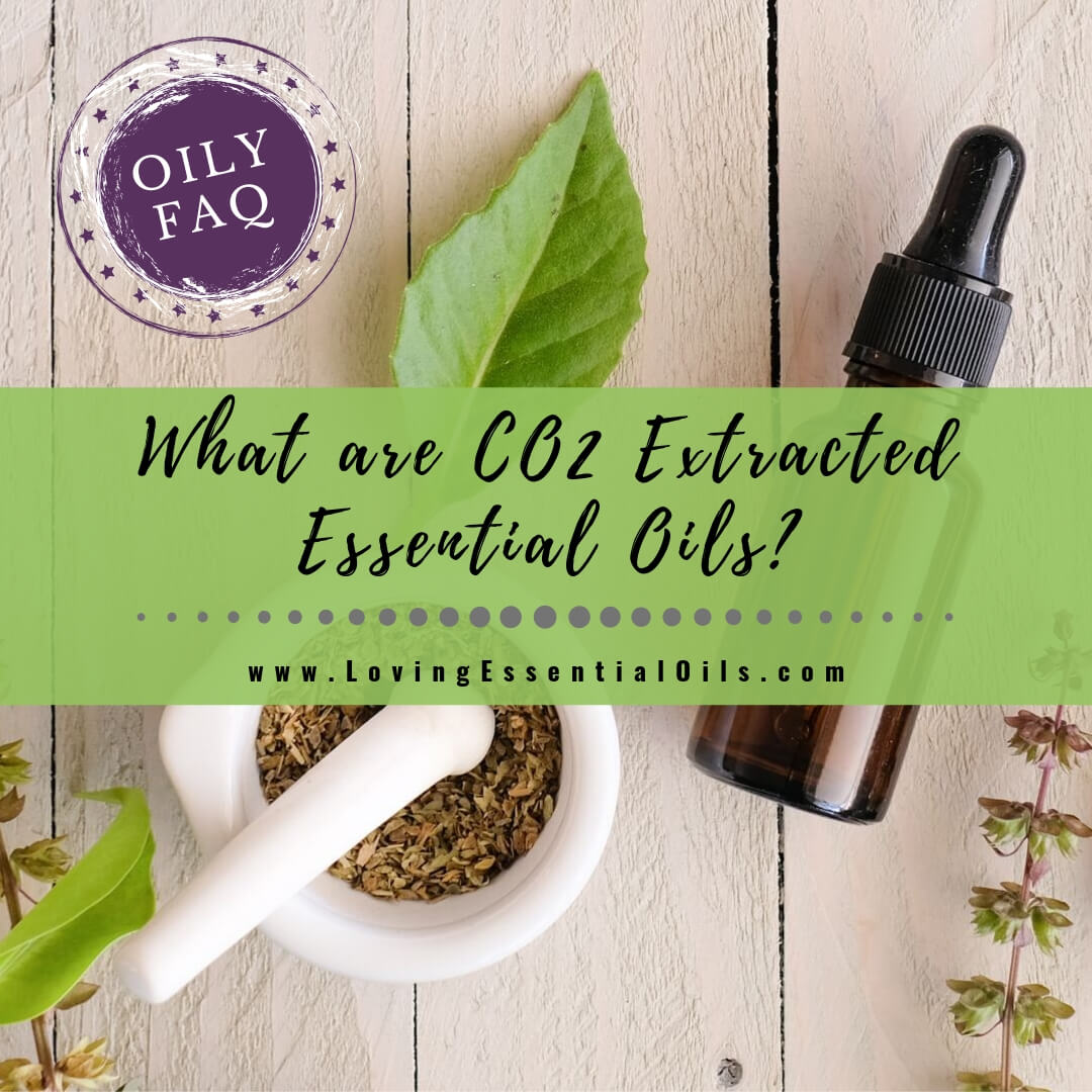 Vitality Extracts Essential Oils in 2023  Essential oil extraction,  Essential oils, 100 pure essential oils