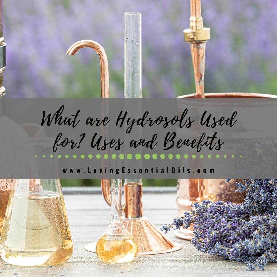 What are Hydrosols Used for? AKA Essential Oil Flower Water