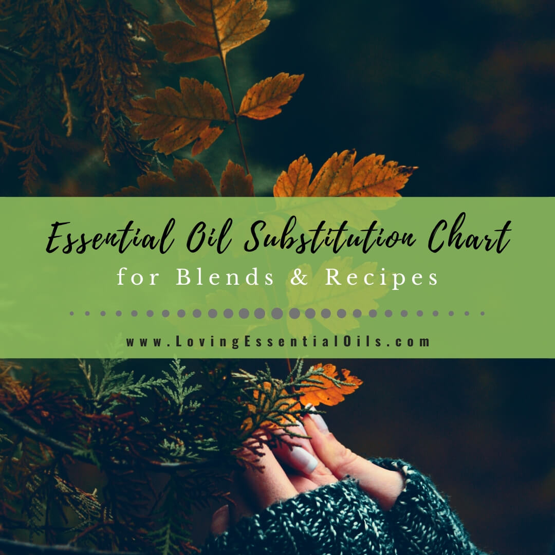 Cashmere Mist  Essential oil diffuser blends recipes, Essential oil  diffuser recipes, Essential oil blends recipes