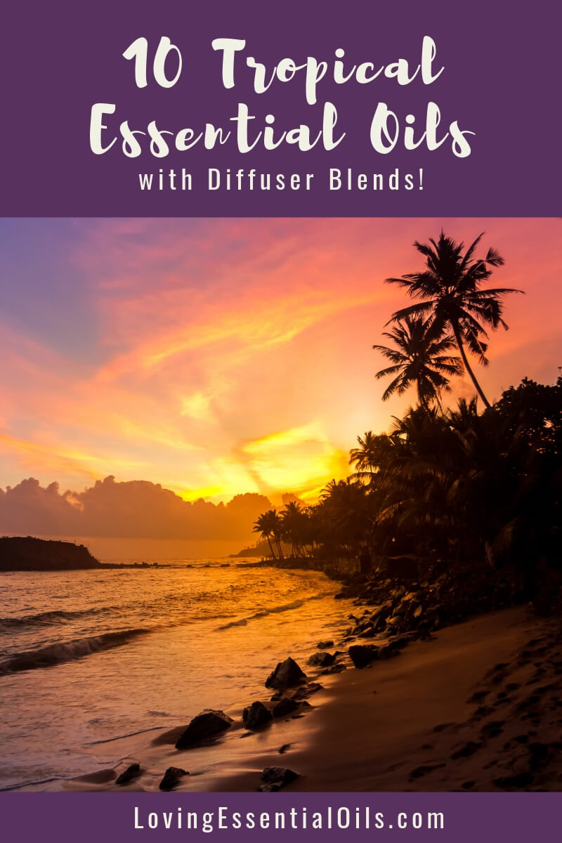 15 Essential Oil Blends To Give You All The Beach Vibes - Mama Bear Wooten