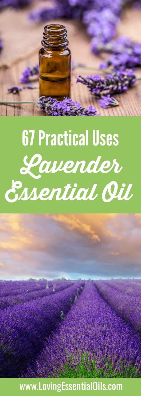 How to Use Lavender Essential Oil Pinterest by Loving Essential Oils