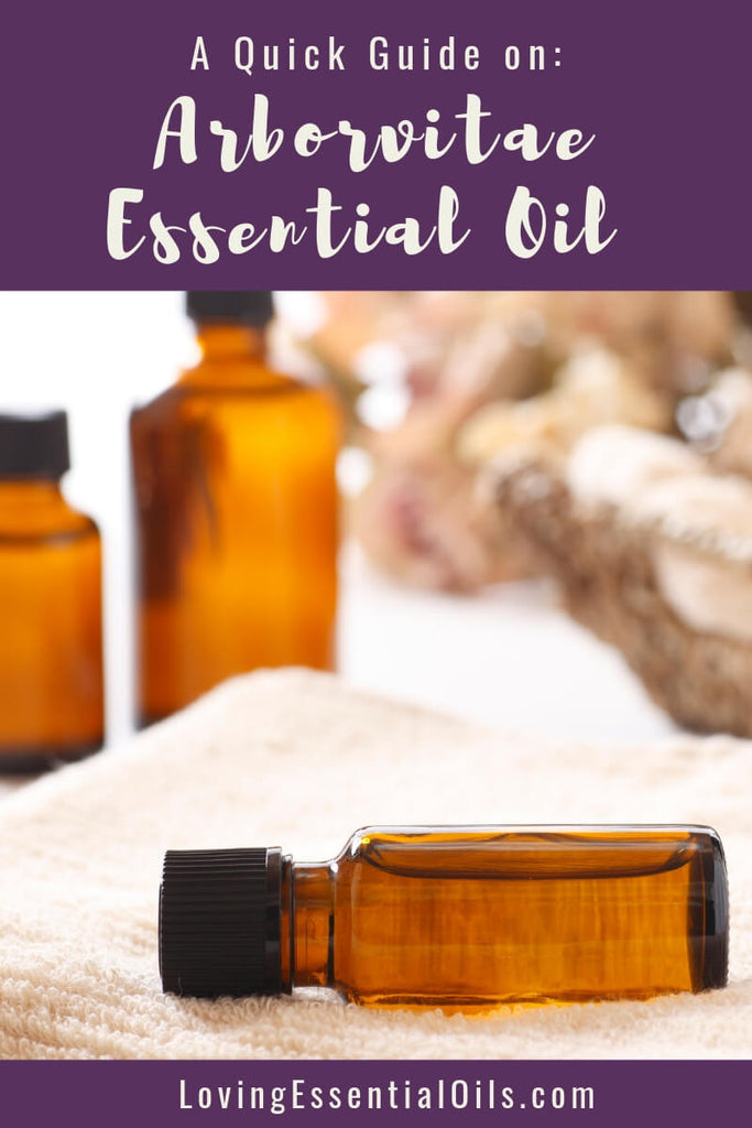 Arborvitae Essential Oil Recipes Spotlight by Loving Essential Oils | Quick Guide | Essential Oil Spotlight