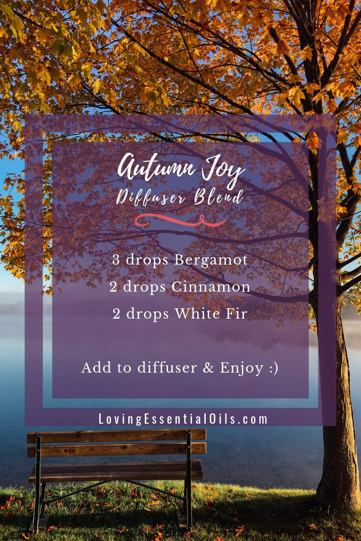 Autumn Joy Essential Oil Blend For Fall bergamot, cinnamon and white firs essential oils