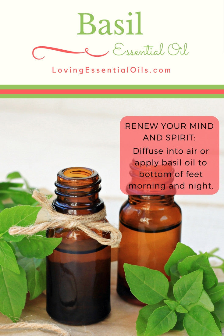 Basil Oil Uses - Renew Your Mind and Spirit