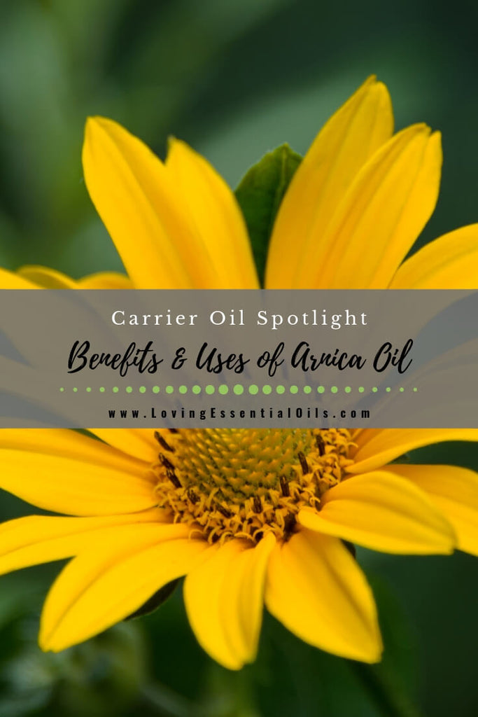 What is Arnica Oil Used For? by Loving Essential Oils | Carrier Oil Spotlight