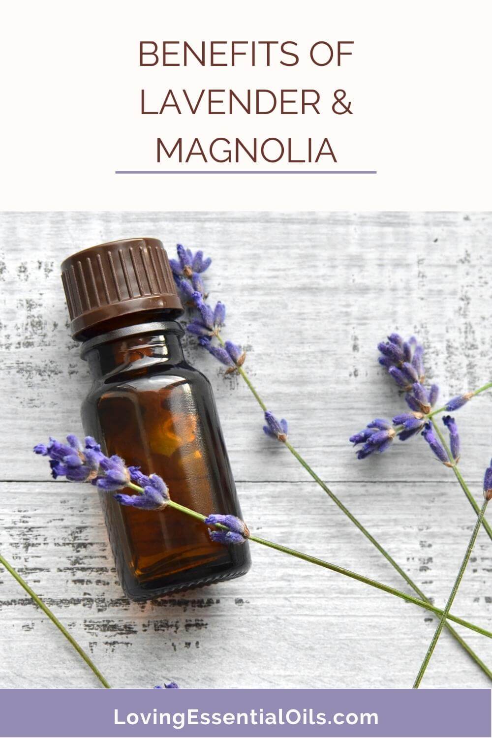 Benefits of Lavender and Magnolia by Loving Essential Oils