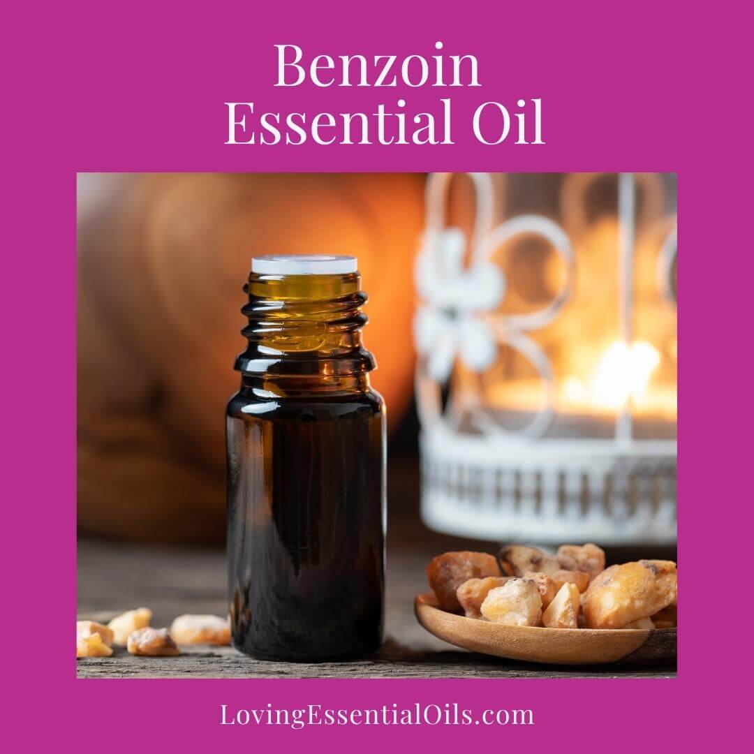 Benzoin Essential Oil - Resin Oils by Loving Essential Oils