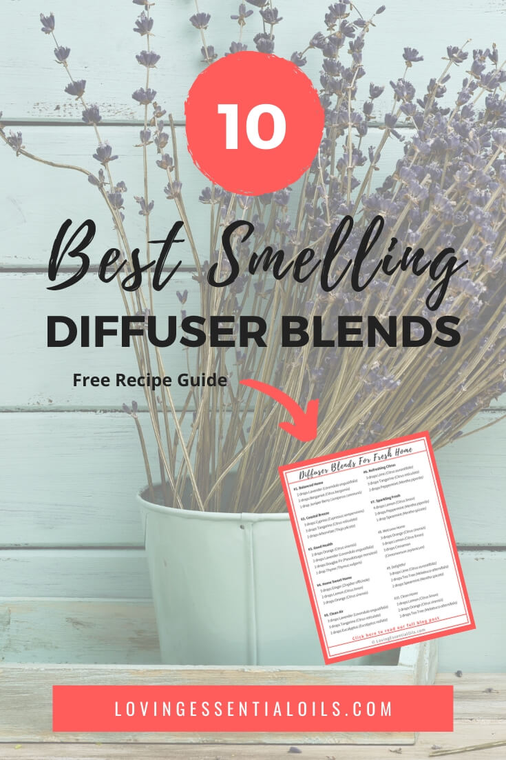 Best Smelling Diffuser Blends with FREE Printable Cheat Sheet