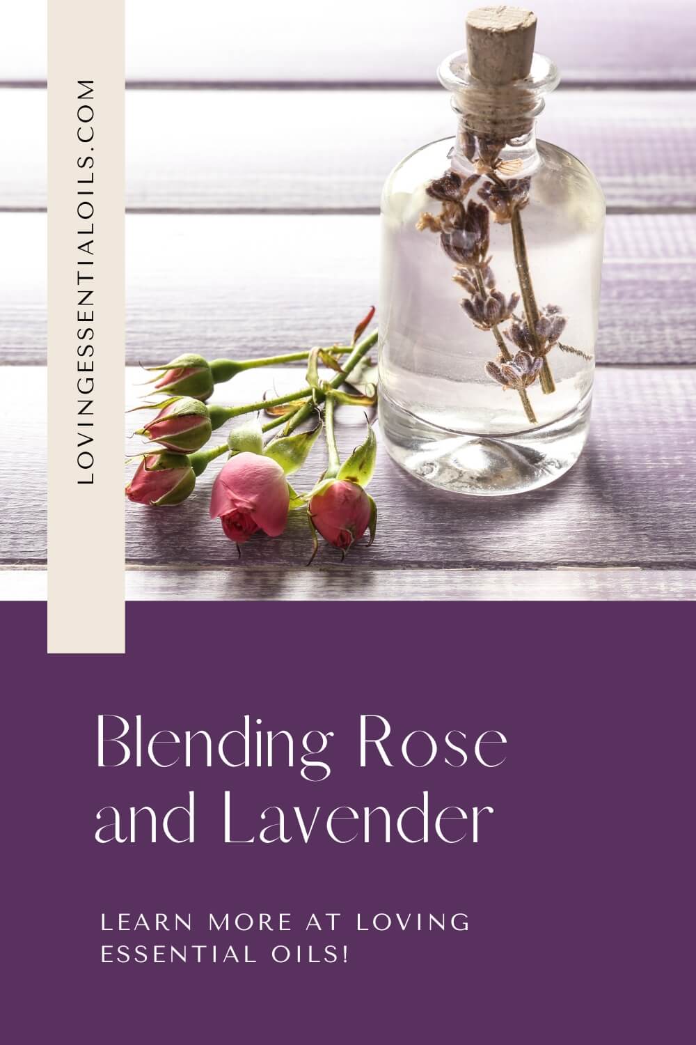 Blending Rose and Lavender by Loving Essential Oils