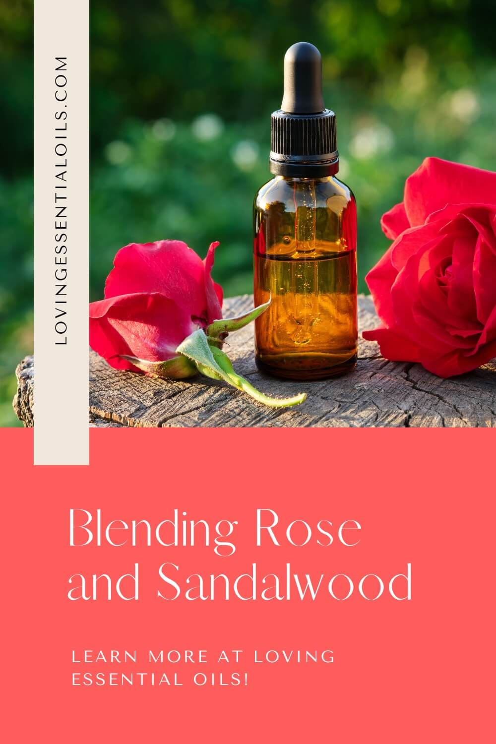 Blending Rose and Sandalwood by Loving Essential Oils