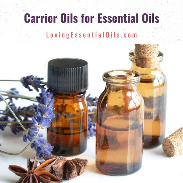 How to Use Carrier Oils with Essential Oils by Loving Essential Oils