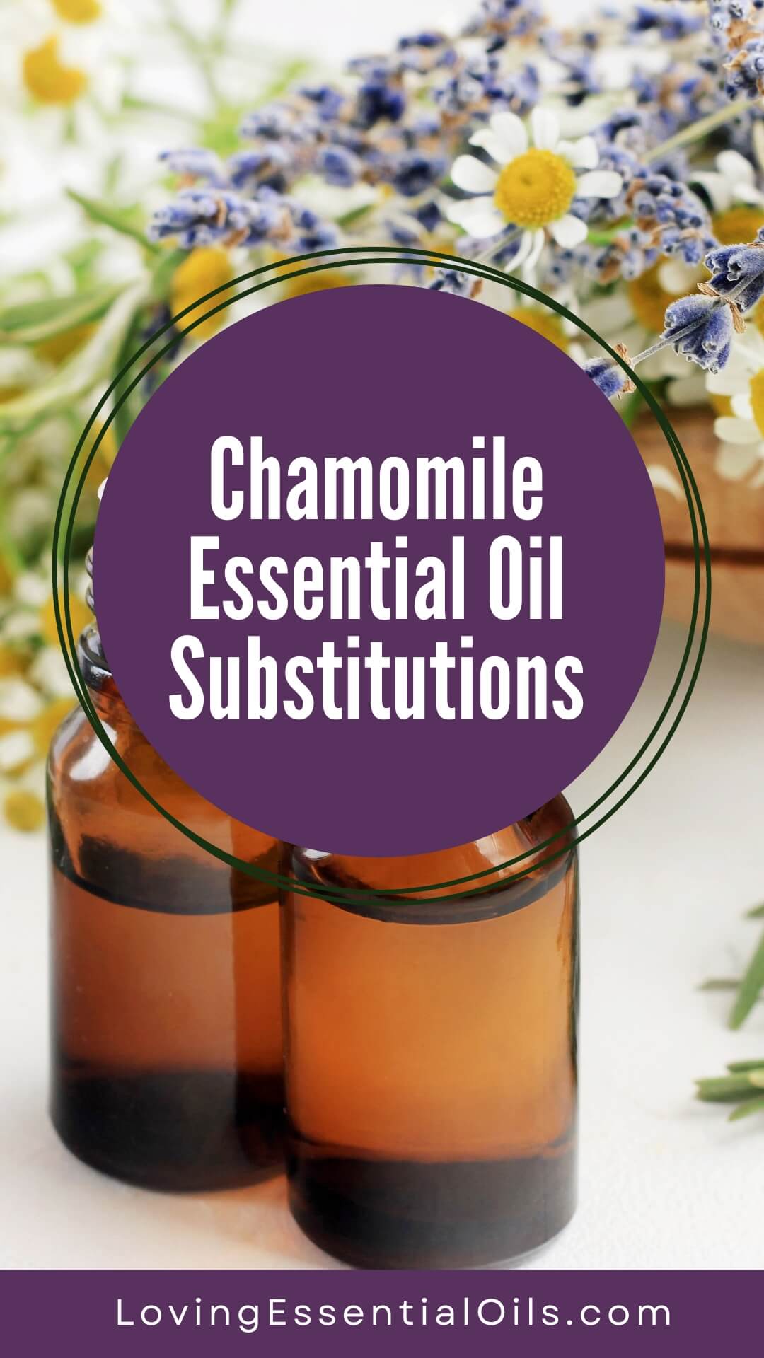 Chamomile Essential Oil Substitutions by Loving Essential Oils